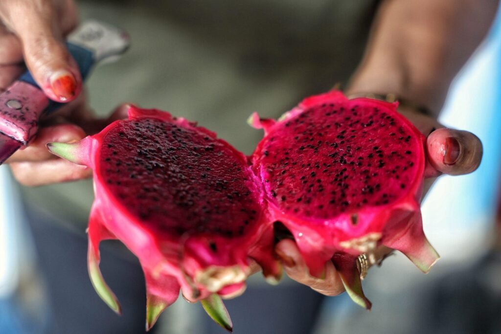 Fresh Dragon Fruit with premium quality for export from India