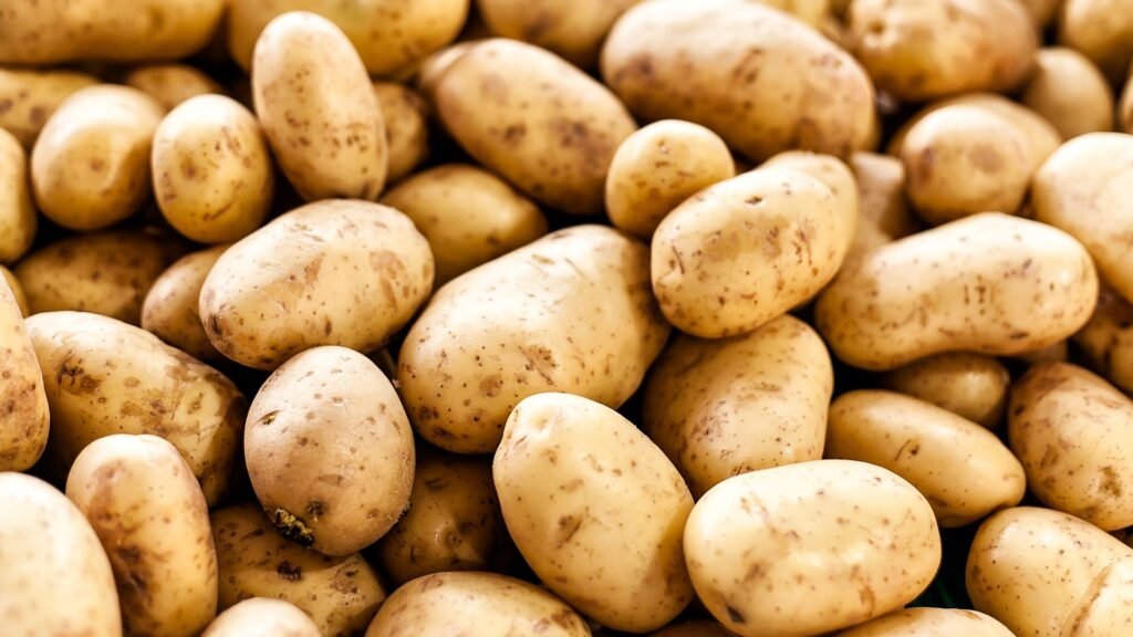 Fresh premium quality potatoes for export from India