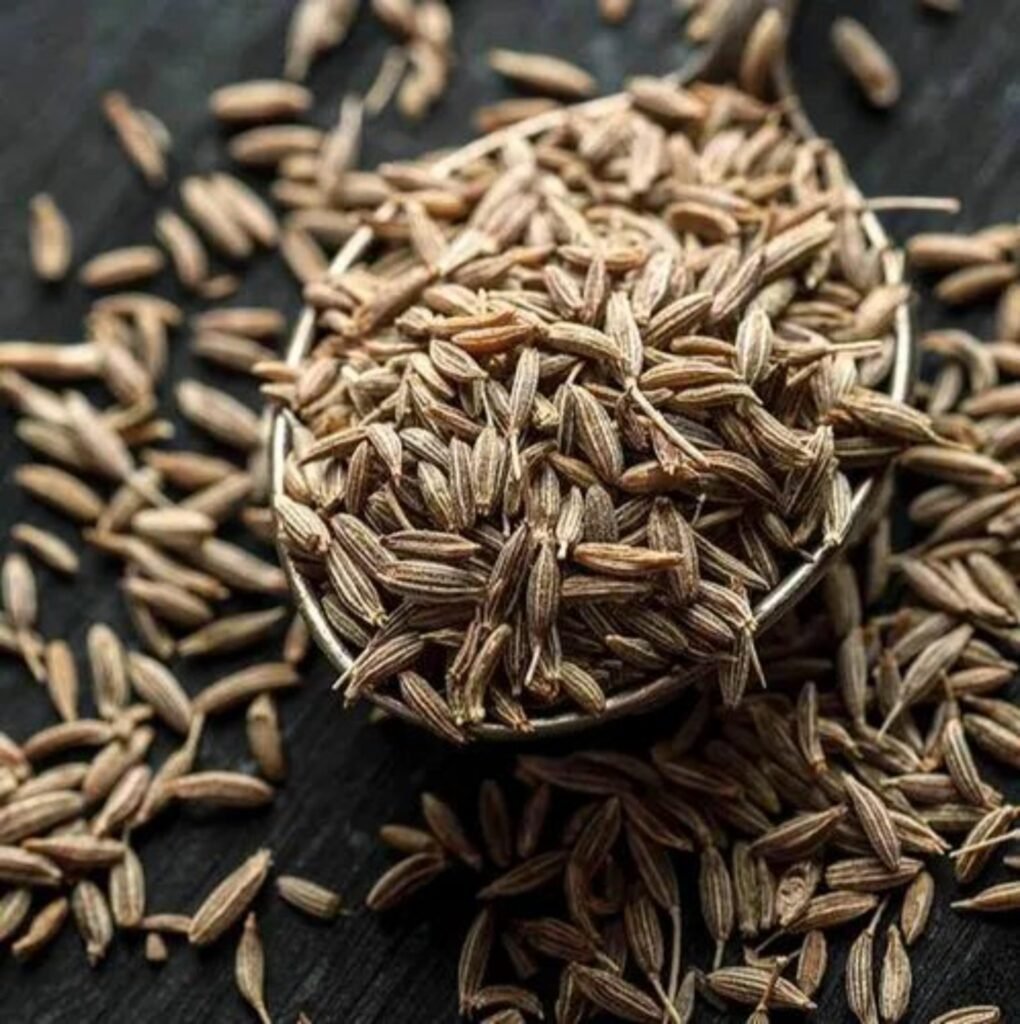 High Quality Cumin Seeds for Export from India