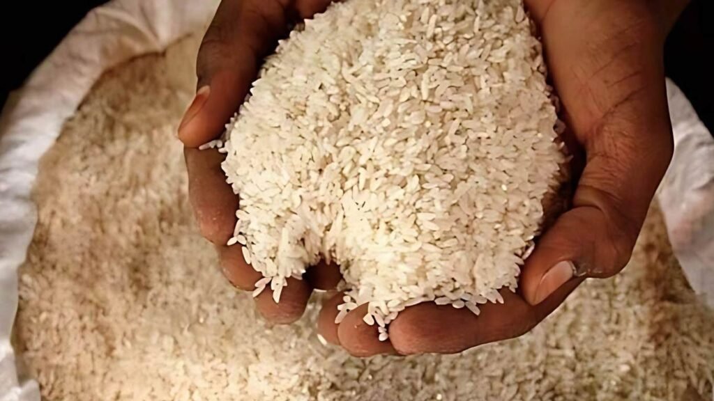High Quality Broken Rice for Export and Industrial Use