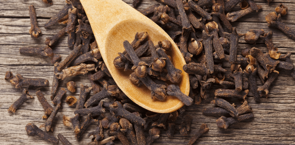 High Quality Cloves for Export from India
