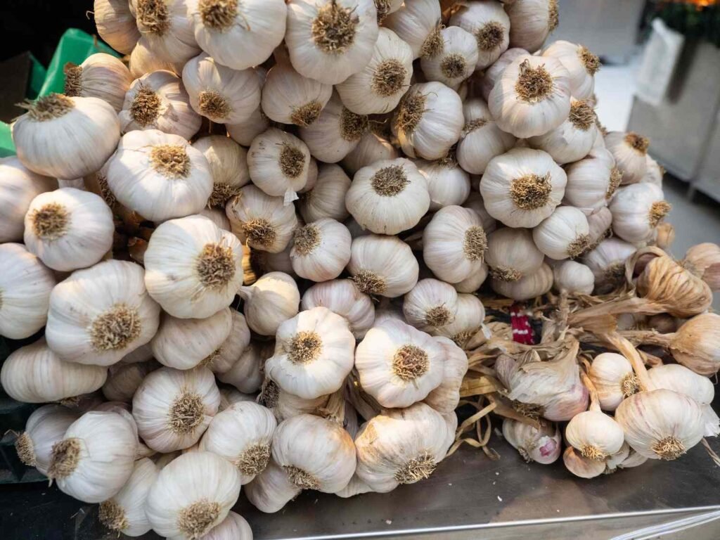 Premium Quality Fresh Garlic for Export from India