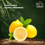 Premium Quality Fresh Lemons