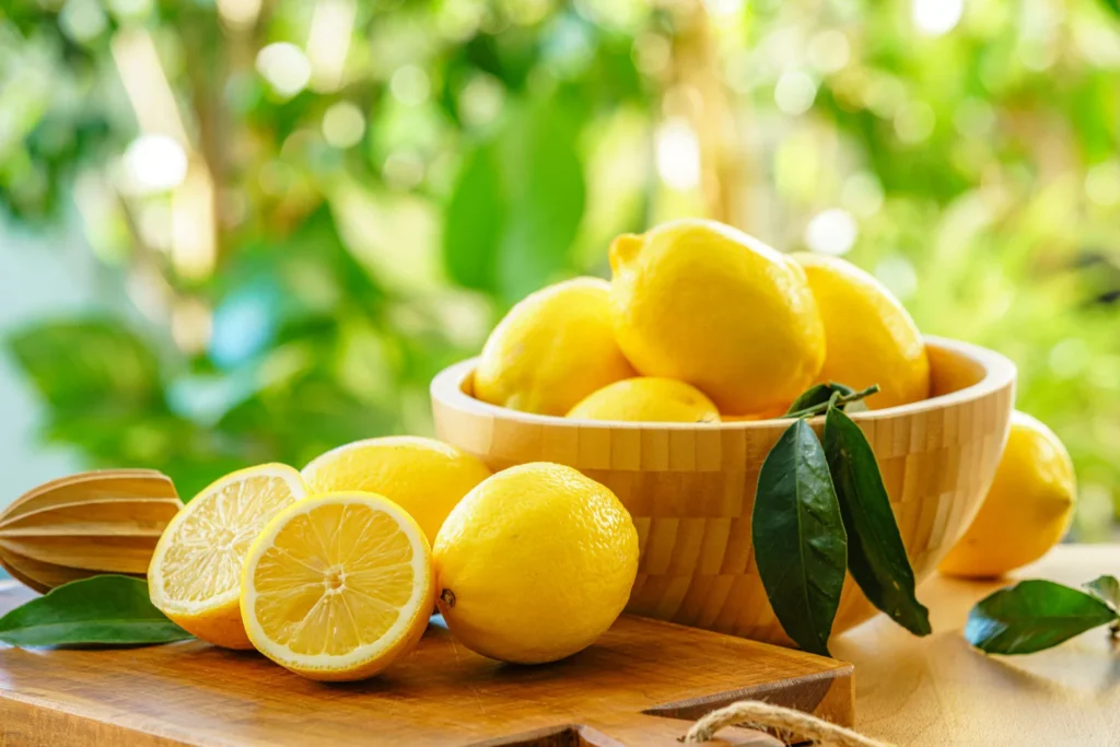 Premium Quality Fresh Lemons for Export from India
