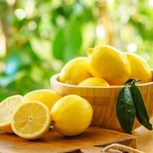 Premium Quality Fresh Lemons for Export from India