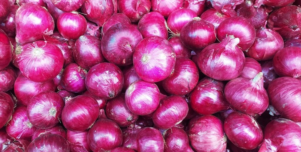 Fresh premium quality onions for export from India
