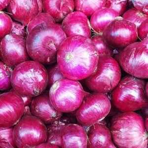 Fresh premium quality onions for export from India