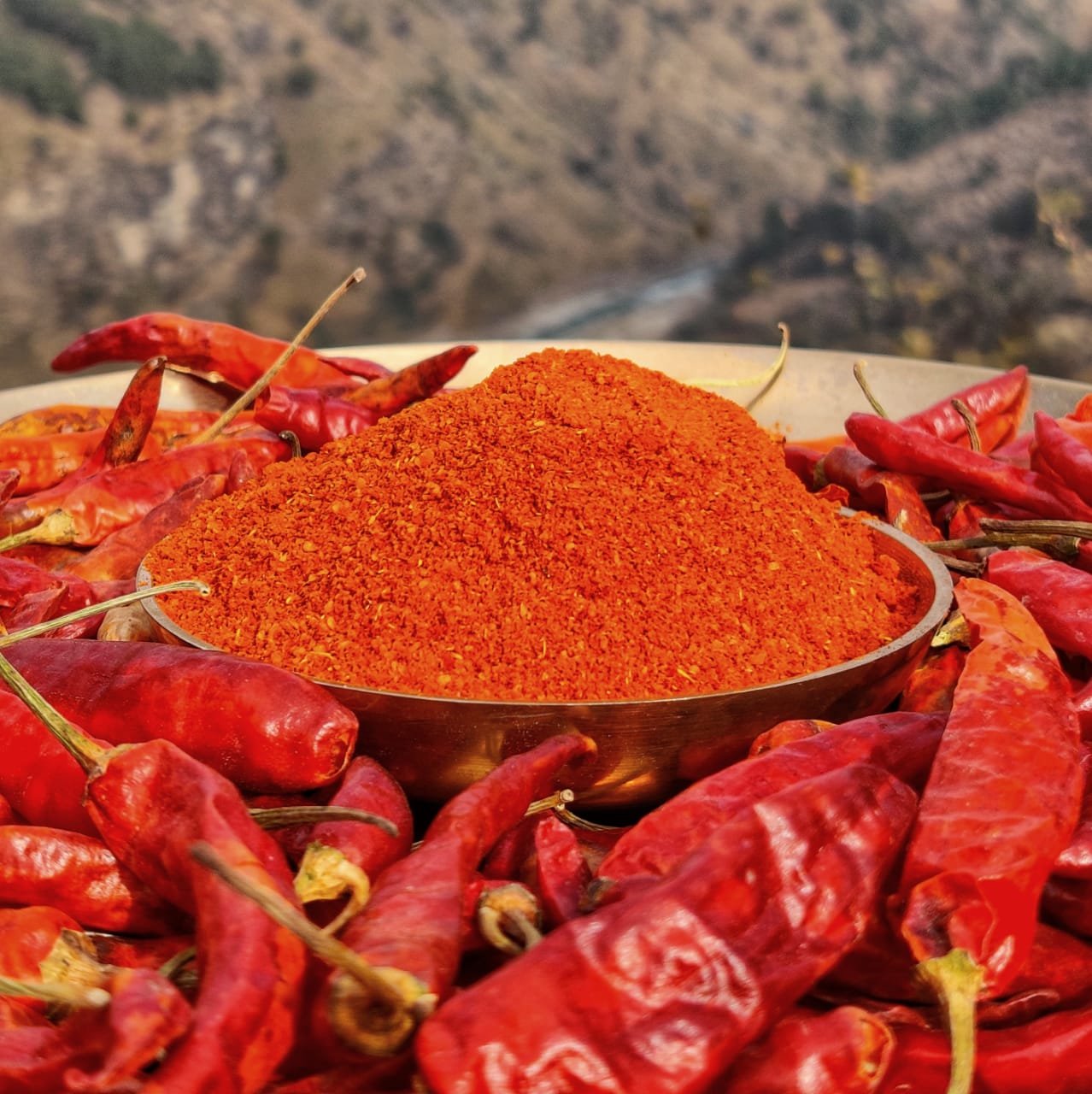 Premium Indian Chilli Powder: Authentic Flavor, Vibrant Color & Global Quality