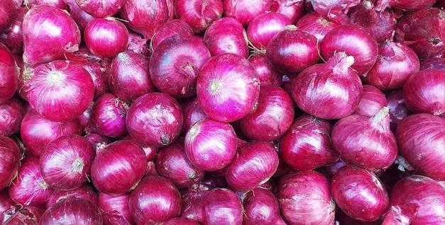 Premium Indian Onions: Freshness, Quality & Reliable Global Supply